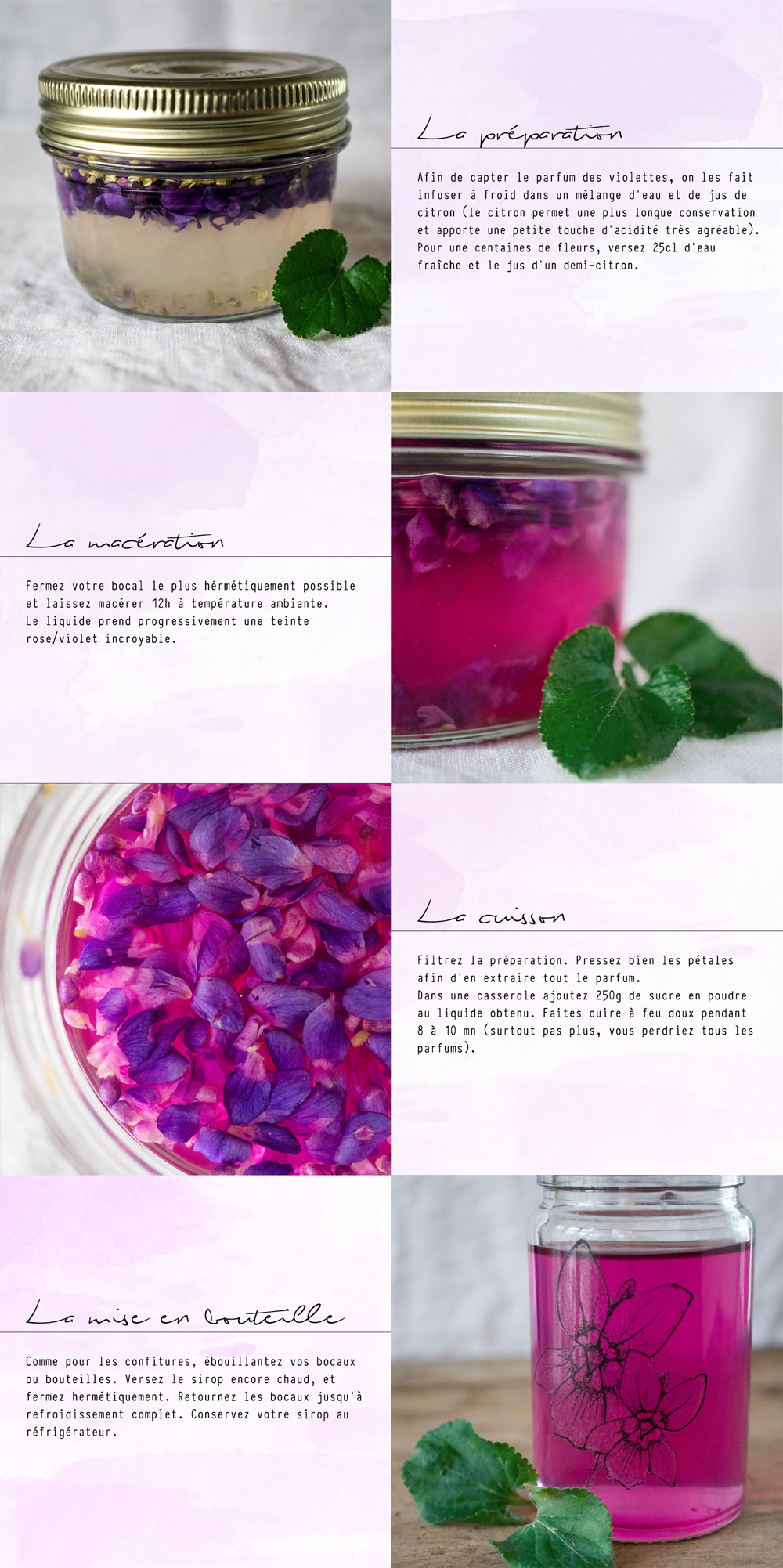 bluette.fr // recette sirop violettes 2