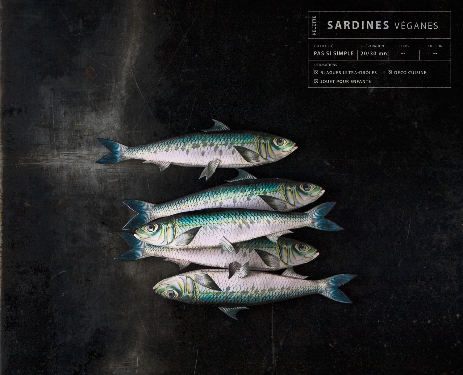 Paper sardines-3-©Bluette.fr